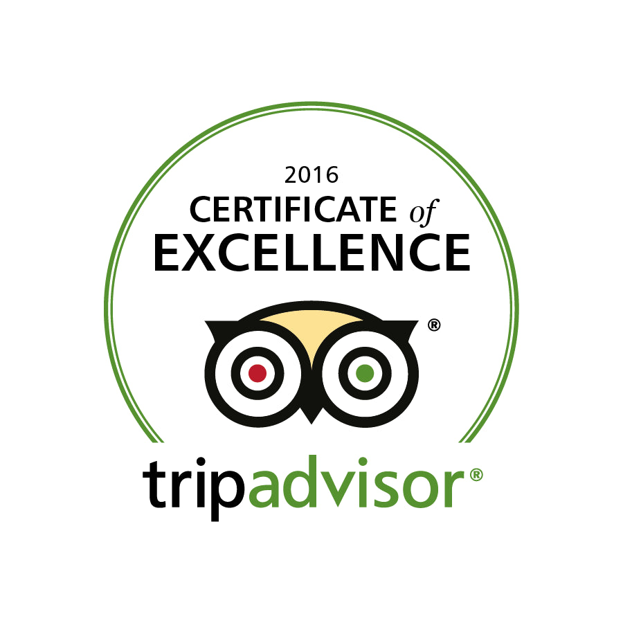 Certificate of Excellence!